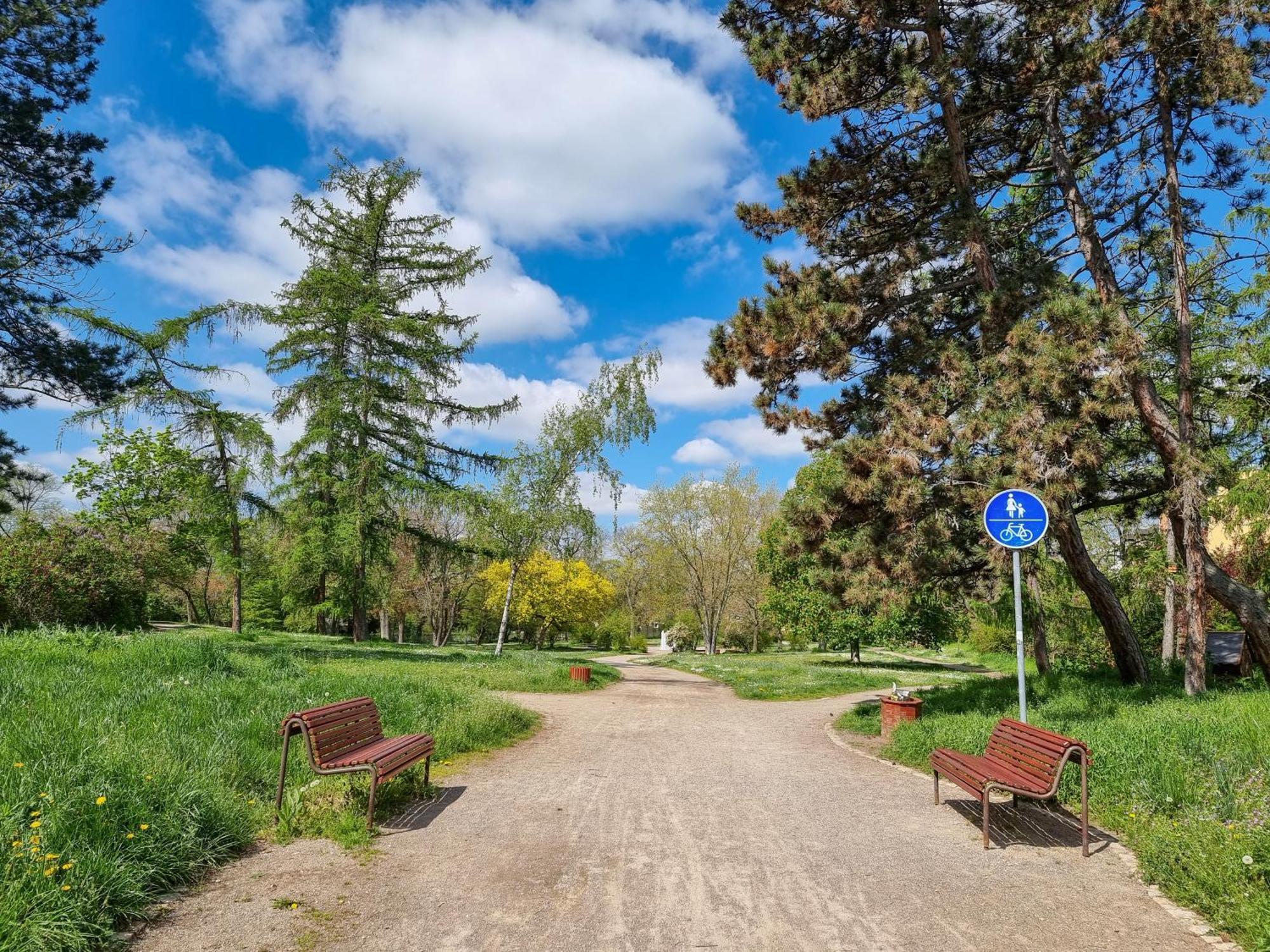 Ferienwohnung Am Stadtpark Naumburg  Exterior foto